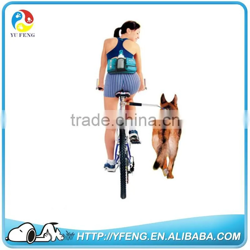 2015 Fashion led retractable dog leash