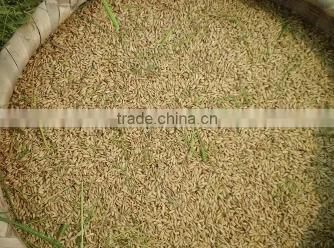 Home use green buckwheat rice sheller