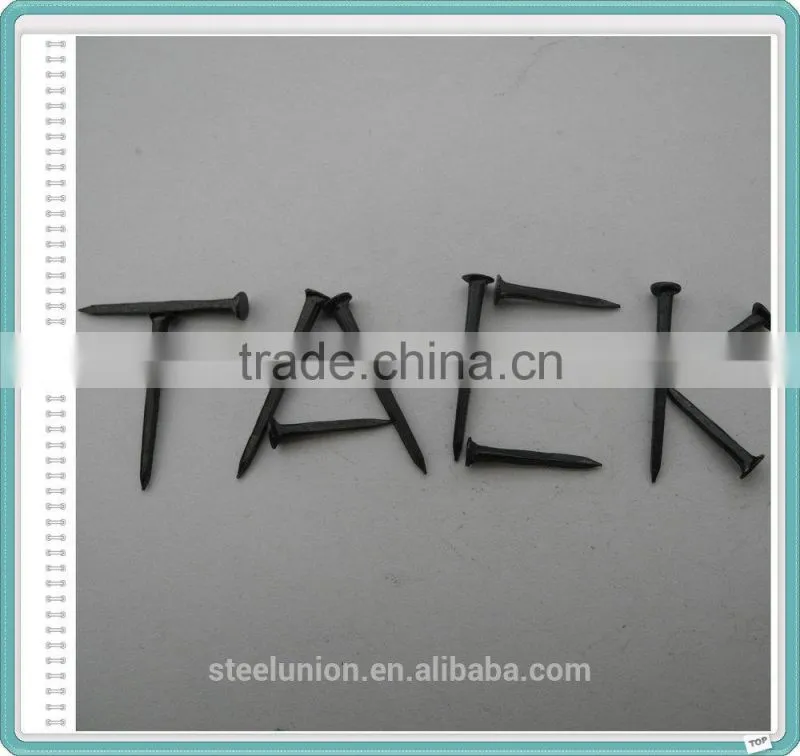 11-25mm High Quality Shoe Tacks Nails