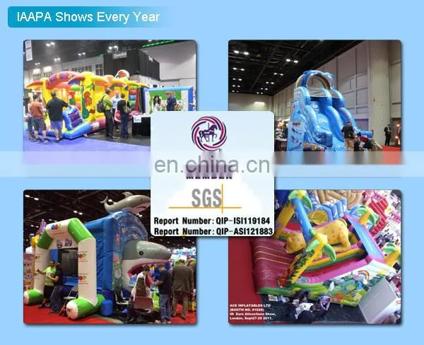 palm tree inflatable bouncy castle with water slide