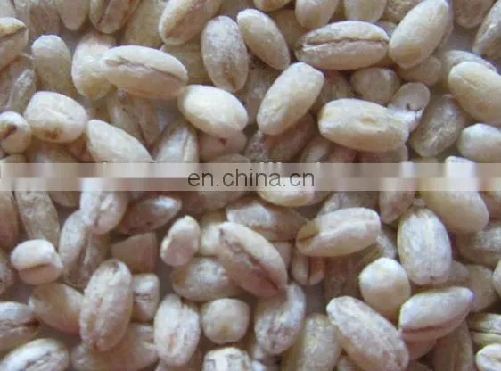 Buckwheat Peeling Machine / Grains Peeling Machine / Millet Peeling Machine