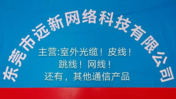 Dongguan Yuanxin Network Technology Co., Ltd company overview - view 1