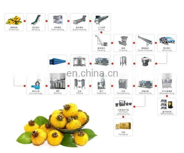 China factory pineapple juice production plant apple juice making machines