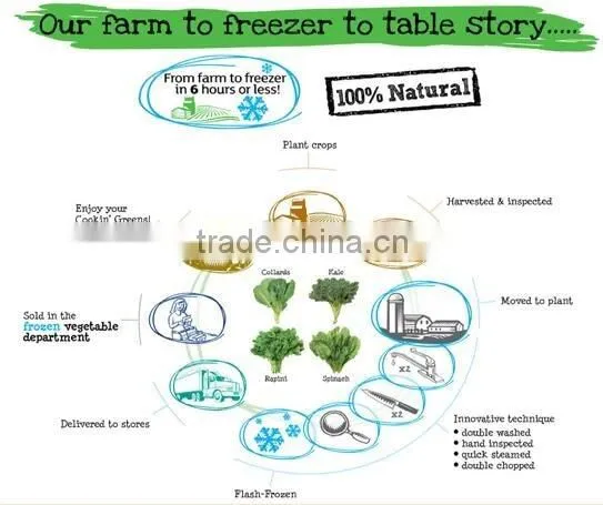 IQF frozen organic soybean kernels
