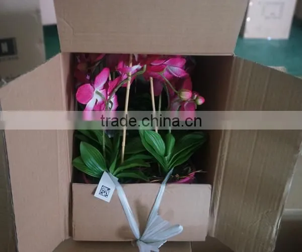 Indoor Plastic Pyrolysis Plant