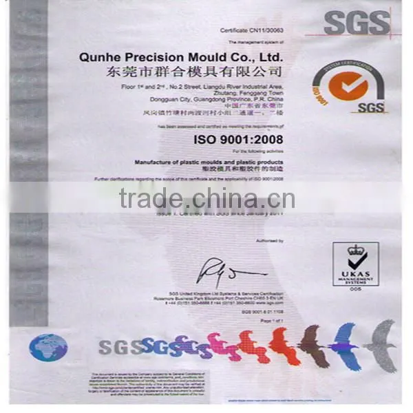 Professional OEM/ODM different designs all size plastic injection mould maker