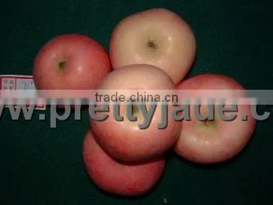 China Fuji apple supplier