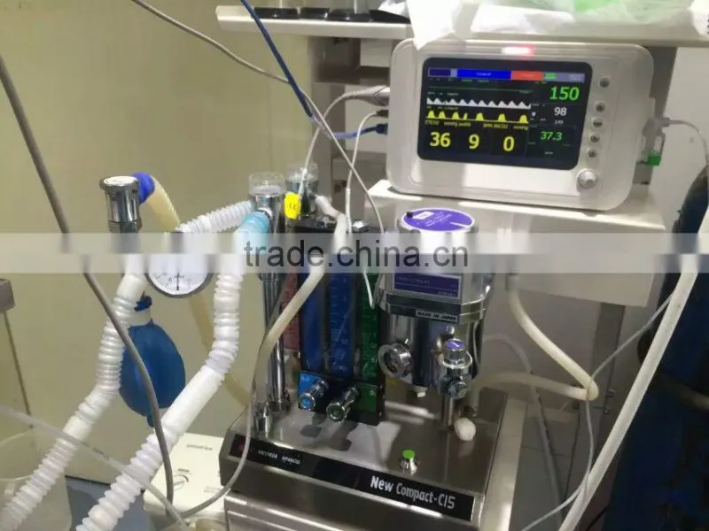 Vet surgical patient monitor