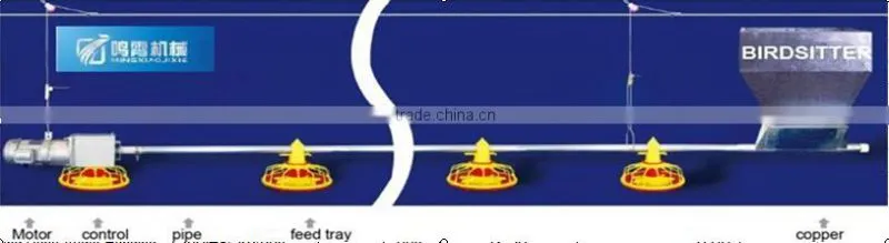 birdsitter jinan mingxiao broiler rate poultry house equipment