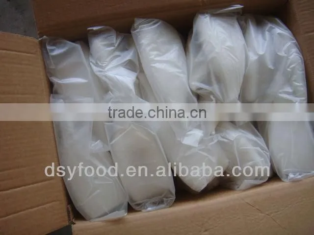 (squid tube squid wings) frozen illex squid