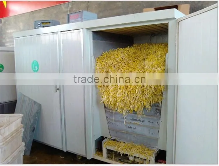 New Brand Bean Sprout Making Machine