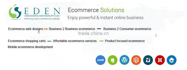 E-commerce website development provider