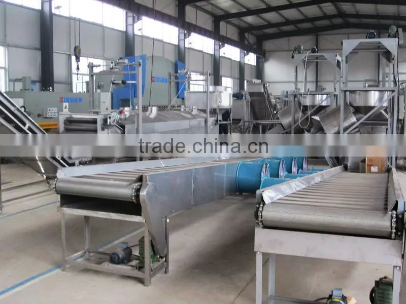 Best-selling Peanut Frying Production Line with CE