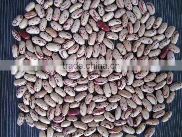 Dried Peas and other beans