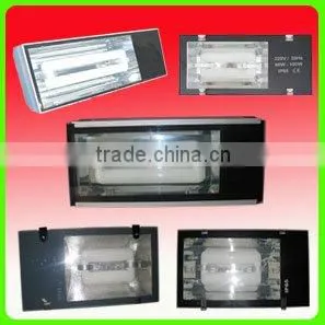 Magnetic induction lamp with lvd tunnel lamp
