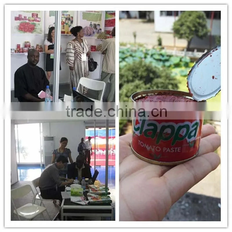 GINNY quality Tomato Paste, Tinned Tomato Paste 28/30