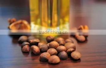 Chinese natural refined Organic Wild CAMELLIA SEED Oil,good for adding