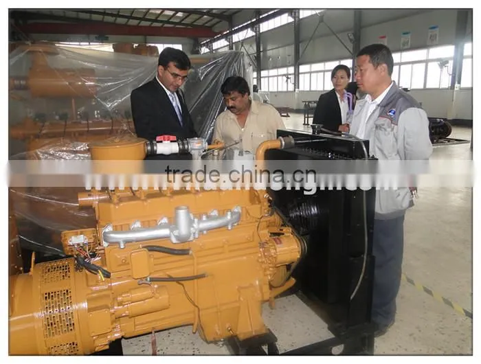 Global warranty High efficient CE ISO Approved Best lpg gas generator price