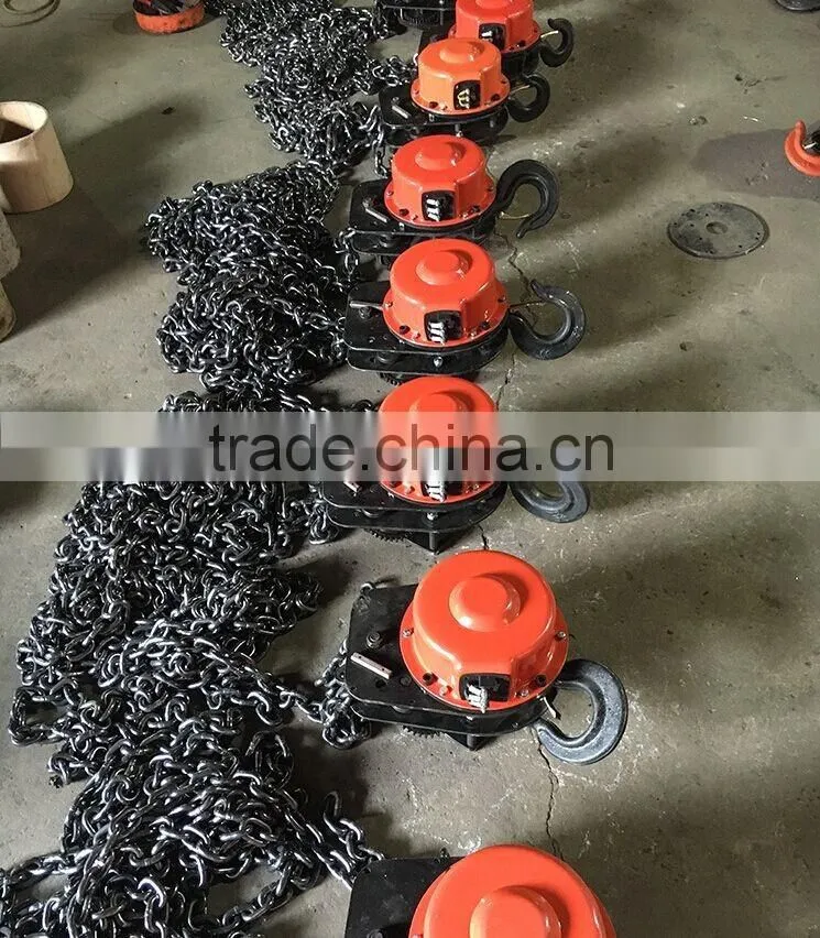 Small Size DHS Type Electric Chain Hoist 1-10 Ton