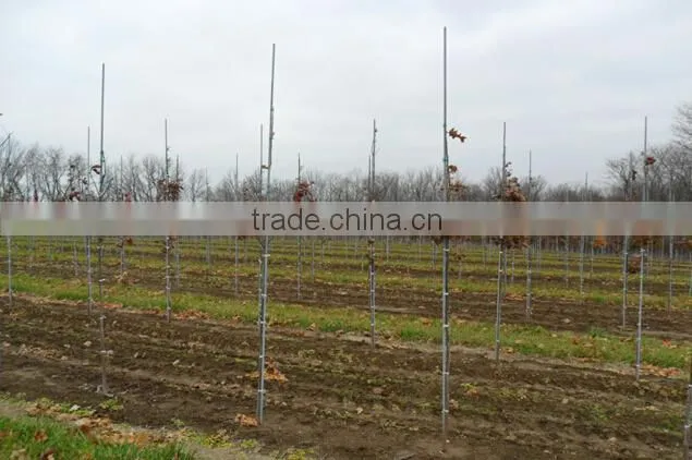 High Strength Flexible Durable Professional Manufacturer Fiberglass Rod In Good Quality From Guangzhou Factory