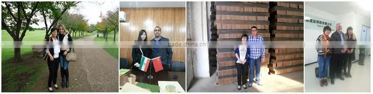 Best quality and useful valinge laminate floor