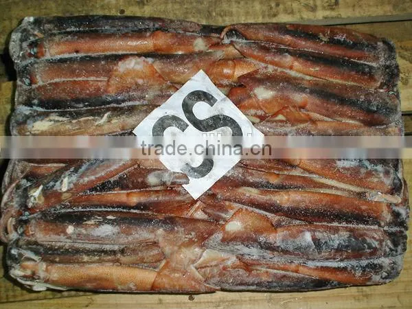frozen argentina illex squid supplier of seafood