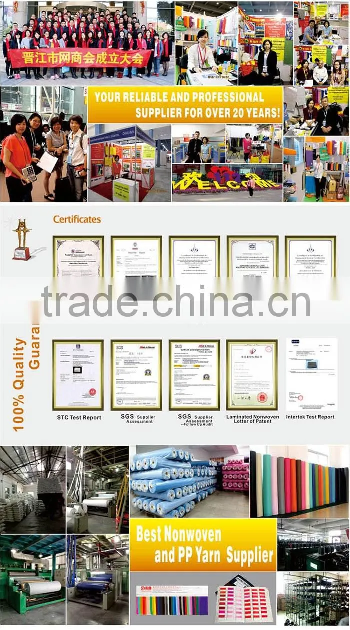 China Manufacturer Supply 100% PP Spunbond Nonwoven