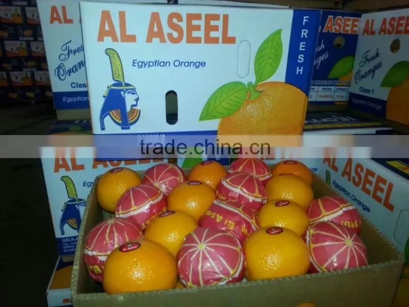 Avilable MOQ of Oranges and Lemons @ Forwell