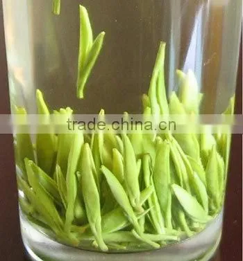 Grade AAA of Huangshan MaoFeng Green Tea