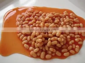 Delicious canned white kidney beans in tomato sauce