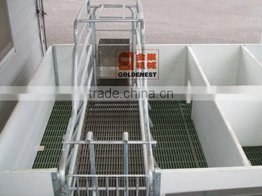 stainless steel pig feeder