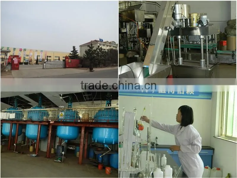 20g Small Packing Seaweed Fertilizer