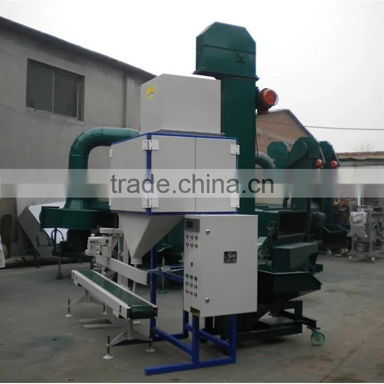 Bagging Scale Packing Machine ( hot sale )
