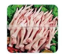 alibaba gold premier supplier easy operation stainless steel chicken feet peeling machine