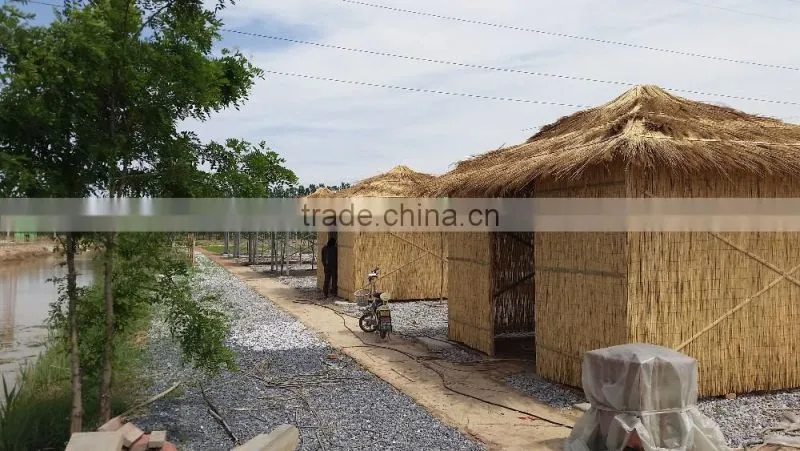 Reed fencing rolls reed fence