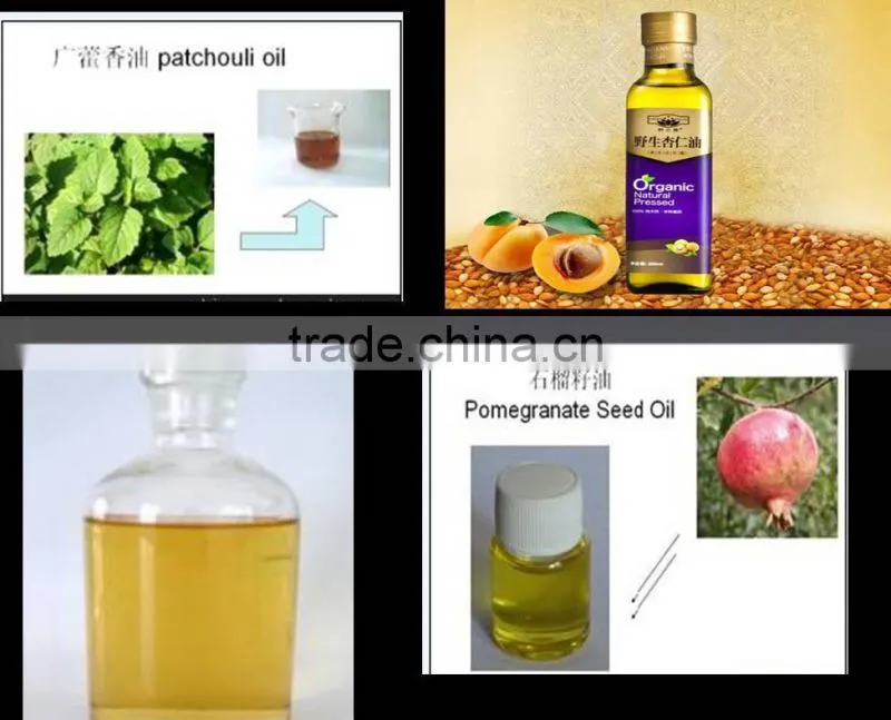 High quality Supercritical CO2 Extraction Machine