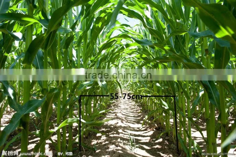 harvest machine for corn/corn harvester