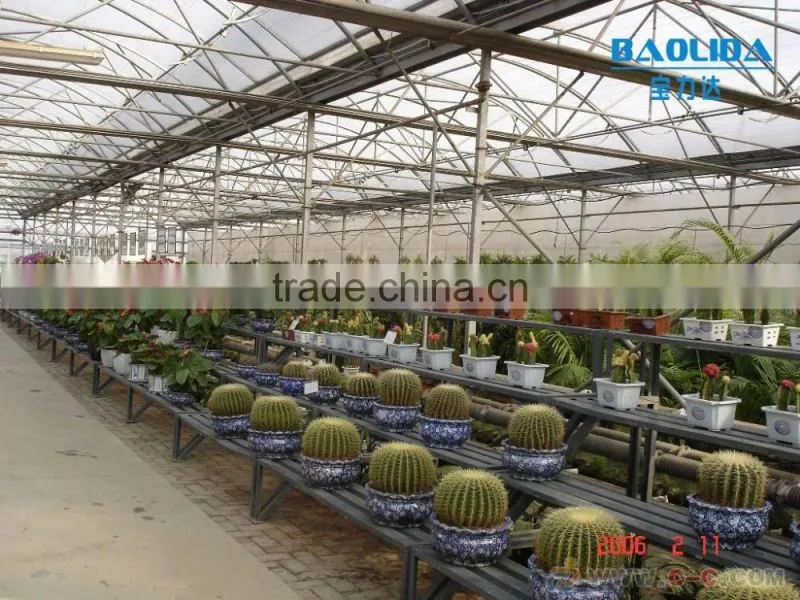 BLD tunnel greenhouse for sale simple tunnel po film greenhouse