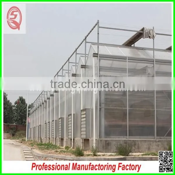 China Venlo polycarbonate sheet greenhouse with vegetable seeds
