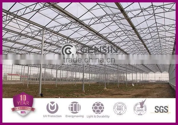 U-lock System Polycarbonate Sheet Hollow W-structure UV Resistance Coating Leaking Proof Easy Installation For Greenhouse 8-16mm