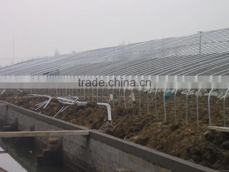 lean tube,galvanized steel pipe for greenhouse construction
