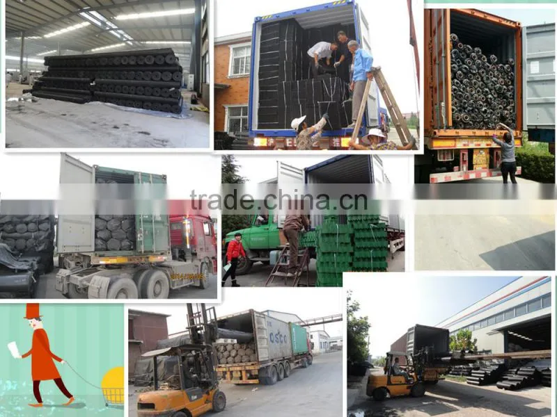 Woven Polyester Geogrid