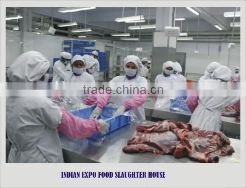 Halal Buffalo Meat Boneless Frozen