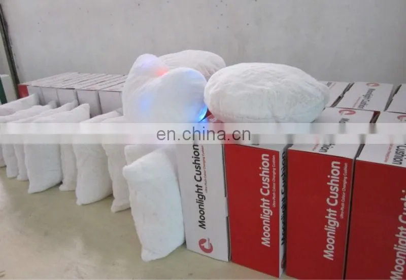 Lighting pillow with custom piloow case