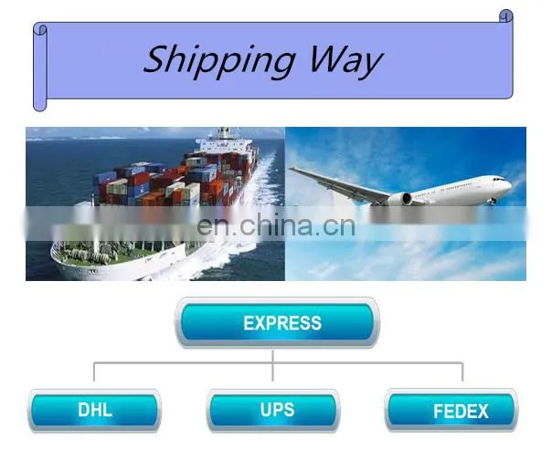 Most Popular 10M portable planetarium inflatable dome tent,big dome tent with custom printing