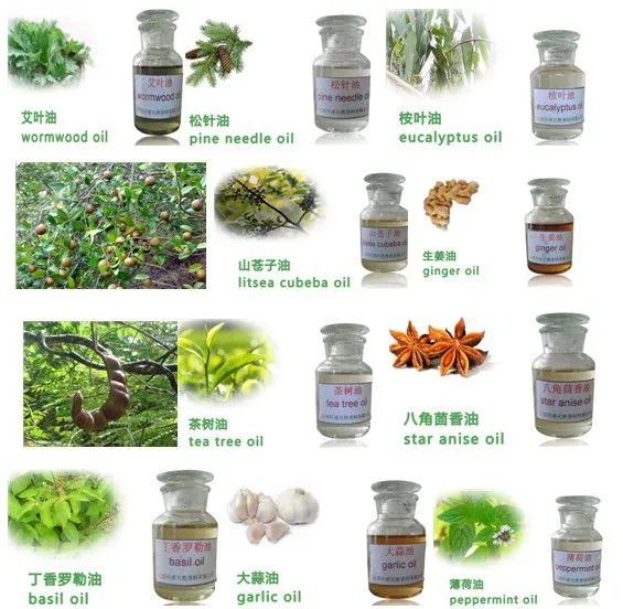 Jiangxi Global Natural Spice Co., Ltd. company overview - view 1
