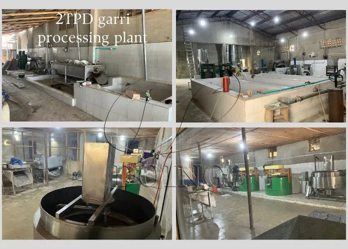 Garri Processing vs. Cassava Starch Processing: Which is More Profitable and Easier to Start?