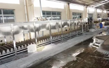 Factory Price Automatic Soybeans Green Beans Chickpeas Beans Production Line
