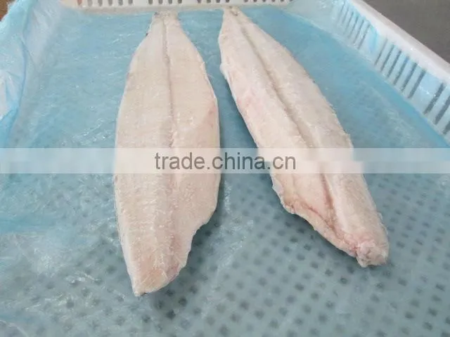 Frozen IQF Spanish Mackerel Fillet IQF Scomberomorus Niphonius King Fish Fillet