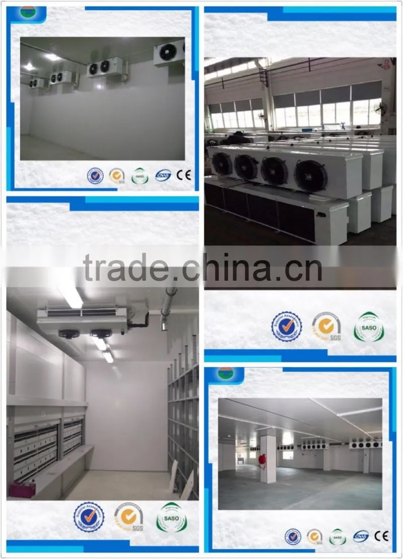 air cooler DL series